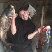 ���������� �������, ���� ������� ������, 36 ���, ������������ ��� ������, ����� � ���������, c�������� ���������