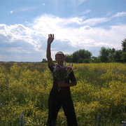 ���������� �����, ���� ������� ���������, 38 ���, ������������ ��� ������, ����� � ���������, c�������� ���������