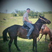 ���������� ���������, ������� �����, 44