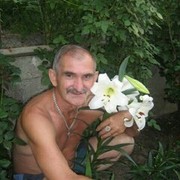  ,   , 72 ,   ,   , c 