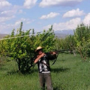  ,   ANDO, 34 ,   ,   , c 