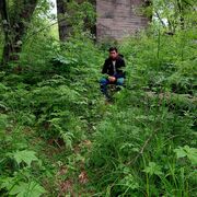 ���������� �������, ���� ����� Ali, 23 ����, ������������ ��� ������, ����� � ���������