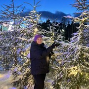 ���������� �����-���������, ���� ������� ��������, 56 ���, ������������ ��� ����� � ���������, c�������� ���������