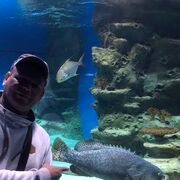  ,   Den, 45 ,   ,   