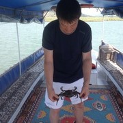  ,   Murat, 47 ,   ,   , c 