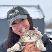 ���������� �����-���������, ������