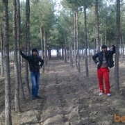  ,   , 36 ,   