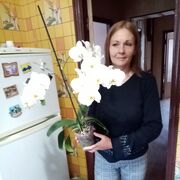 ���������� ������, ���� ������� ����, 59 ���, ������������ ��� ������, ����� � ���������