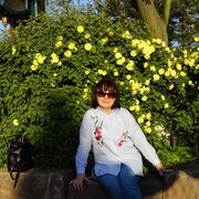  ,   , 68 ,   c 