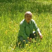  --,   , 57 ,   