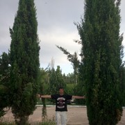 ���������� �����-���������, ���� ������� ������, 40 ���, ������������ ��� ������, ����� � ���������, c�������� ���������