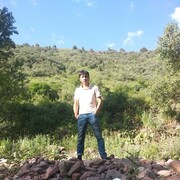  ,   Bek, 33 ,   ,   