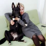  ,   , 53 ,     , c 