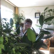 ���������� �����������, ���� ������� �����, 56 ���, ������������ ��� c�������� ���������