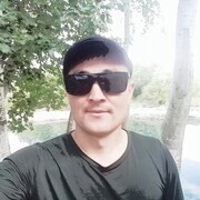 -,    , 29 ,  