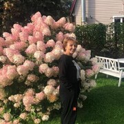 ���������� ������, ���� ������� ������, 70 ���, ������������ ��� ������, ����� � ���������