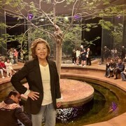 ���������� ���������, ���� ������� Monica, 69 ���, ������������ ��� ������, ����� � ���������