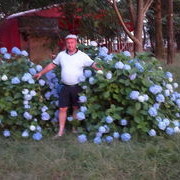  ,   ROMAN, 49 ,   ,   , c , 