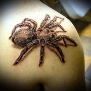 �������� �������� ���� ����� ������ ����� ��� �� ��������