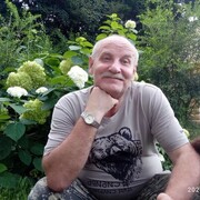  ,   , 66 ,   , c 