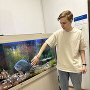 ���������� ������, ���� ����� �������, 20 ���, ������������ ��� ������, ����� � ���������