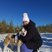 ���������� ����, �����