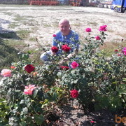 ���������� ������������, ���� ������� ������, 46 ���, ������������ ��� ������