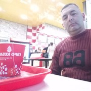  -,   , 51 ,   ,   , c 