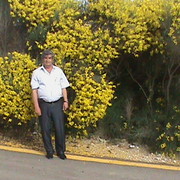 ���������� ����, ���� ������� ������, 71 ���, ������������ ��� ������, ����� � ���������, c�������� ���������