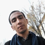 ���������� �������, ���� ������� Maga, 36 ���, ������������ ��� ������, ����� � ���������, c�������� ���������