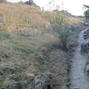 ���������� �����������, ���� ������� ���, 52 ����, ������������ ��� ������, ����� � ���������, c�������� ���������