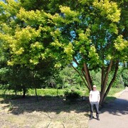 ���������� ����, ���� ������� ˸��, 42 ����, ������������ ��� ������, ����� � ���������, c�������� ���������