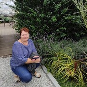  ,   , 51 ,   ,   