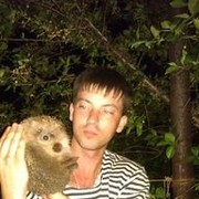 ���������� �������, ���� ������� ������, 38 ���, ������������ ��� ������, ����� � ���������, c�������� ���������