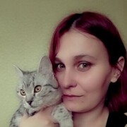 ���������� ����, ���� ������� �������, 33 ����, ������������ ��� ����� � ���������, c�������� ���������, ���������