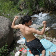  ,   Maus_2010, 37 ,   