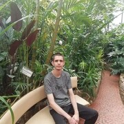 ���������� �����������-��-�����, ���� ����� ������, 24 ����, ������������ ��� ������, ����� � ���������, c�������� ���������, ���������