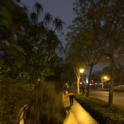 ���������� ���������, ������