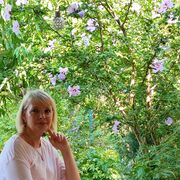  ,   , 58 ,   c , 