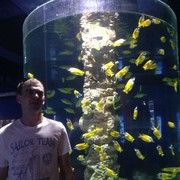 ���������� �����-���������, ���� ������� ����, 42 ����, ������������ ��� ������, ����� � ���������, c�������� ���������