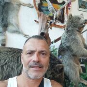 ���������� ������, ���� ������� �����, 46 ���, ������������ ��� ����� � ���������, c�������� ���������