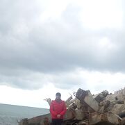  ,   Roma, 42 ,   ,   , c 