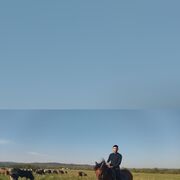 ���������� �����������, ���� ������� ���, 29 ���, ������������ ��� ������, ����� � ���������, c�������� ���������