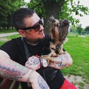 ���������� ����, ���� ������� ����, 44 ����, ������������ ��� ������, ����� � ���������