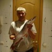  ,   ALEKS, 62 ,   