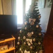  Trivero,   Andrew, 44 ,   ,   , 