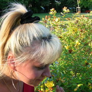  Bassano del Grappa,   Lilija, 42 ,     , c 