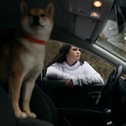 ���������� �����, ���� ������� �������, 34 ����, ������������ ��� ����� � ���������, c�������� ���������, ���������