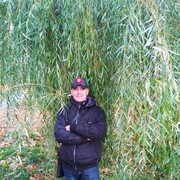 ���������� �����, ���� ������� �������, 46 ���, ������������ ��� c�������� ���������, ���������