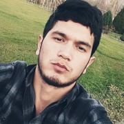  Jelcz,  , 31